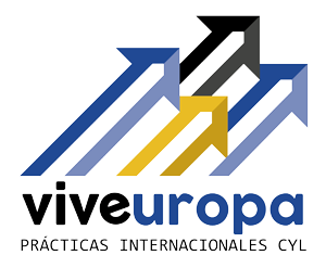VIVE EUROPA-logo 300x247