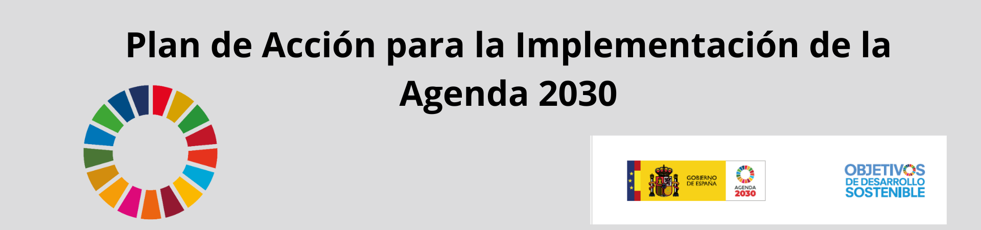 12. Plan de Accion implementacion Agenda 2030